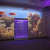 Проекционный дизайн "Виртуальная реальность" базовый комплект 500 анимаций - «globural.ru» - Пенза