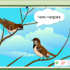 Интерактивное развивающее пособие "Говорящие картинки. Слушаем и повторяем" - «globural.ru» - Пенза