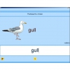 Английский язык. Освоение клавиатуры - «globural.ru» - Пенза