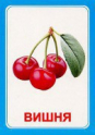 Логопедические карточки и картинки для развития речи - «globural.ru» - Пенза
