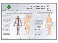 Электрифицированный стенд "Остановка кровотечения" - «globural.ru» - Пенза
