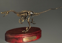 Модель скелета динозавра Velociraptor - «globural.ru» - Пенза