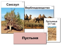 Модель-аппликация "Природные зоны России" - «globural.ru» - Пенза