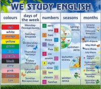 Стенд "We study english" - «globural.ru» - Пенза