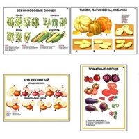 Плакаты ПРОФТЕХ "Ассортимент овощных культур" (12 пл, винил, 70х100) - «globural.ru» - Пенза