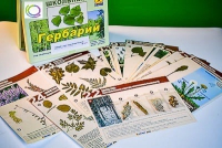 Гербарий к курсу основ общей биологии - «globural.ru» - Пенза