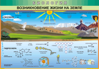 Таблица Возникновение жизни на Земле 1000*1400 винил - «globural.ru» - Пенза