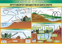 Таблица Круговорот веществ в биосфере 1000*700 винил - «globural.ru» - Пенза