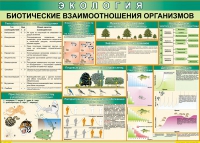 Таблица Биотические взаимоотношения организмов 1000*700 (винил) - «globural.ru» - Пенза