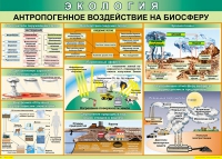 Таблица Антропогенное воздействие на биосферу 1000*700 винил - «globural.ru» - Пенза
