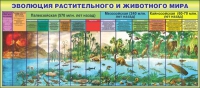 Стенд "Эволюция растительного и животного мира" - «globural.ru» - Пенза