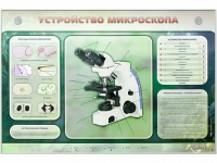 Электрифицированный стенд "Устройство микроскопа и правила работы c ним" - «globural.ru» - Пенза