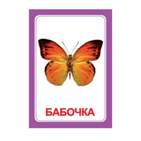 Логопедка "Ч" (логопедические карточки) - «globural.ru» - Пенза