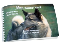 Пособие для слабовидящих "Домашние животные" - «globural.ru» - Пенза