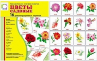 Демонстрационные карточки "Цветы садовые" - «globural.ru» - Пенза