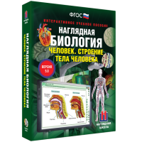 Наглядная биология. Человек. Строение тела человека - «globural.ru» - Пенза