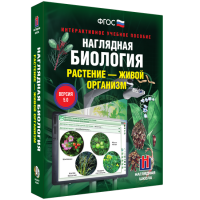 Наглядная биология. Растение - живой организм - «globural.ru» - Пенза