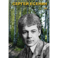 DVD Сергей Есенин - «globural.ru» - Пенза