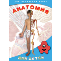 DVD  Анатомия для детей - «globural.ru» - Пенза