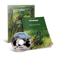 Электронное наглядное пособие «Птицы» - «globural.ru» - Пенза