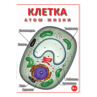 DVD Клетка - "атом жизни" - «globural.ru» - Пенза