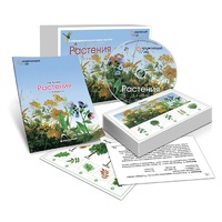 Комбинированное наглядное пособие «Растения» - «globural.ru» - Пенза