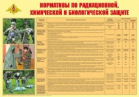 Плакат "Нормативы по радиационной, химической и биологической защите" - «globural.ru» - Пенза