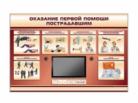 Многофункциональный интерактивный стенд-тренажер "Оказание первой помощи пострадавшим" для учащихся общеобразовательных учреждений - «globural.ru» - Пенза