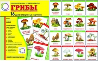 Демонстрационные карточки  "Грибы съедобные и не съедобные" - «globural.ru» - Пенза