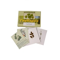 Гербарий "Деревья и кустарники" (22 вида, с иллюстрациями) - «globural.ru» - Пенза