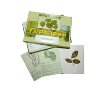 Гербарий "Дикорастущие растения" (30 видов, с иллюстрациями) - «globural.ru» - Пенза