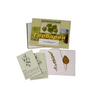 Гербарий "Лекарственные растения" (22 вида, с иллюстрациями) - «globural.ru» - Пенза
