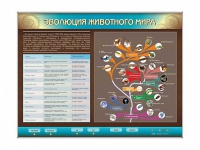 Интерактивный электрифицированный стенд "Эволюция животного мира" - «globural.ru» - Пенза