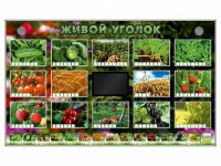 Комплект оборудования "Живой уголок" (растения) - «globural.ru» - Пенза