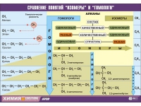 Таблица демонстрационная "Сравнение понятий изомер и гомолог" (винил 100х140) - «globural.ru» - Пенза
