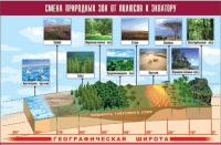 Таблица демонстрационная "Смена природных зон от полюсов к экватору" (винил 70x100) - «globural.ru» - Пенза