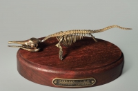 Модель скелета ихтиозавра Ichthyosaurus - «globural.ru» - Пенза