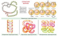 Плакаты и таблицы по общей химии - «globural.ru» - Пенза
