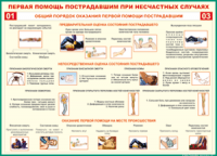  Таблица Общий порядок оказания первой помощи пострадавшим 1000*1400 винил	 - «globural.ru» - Пенза