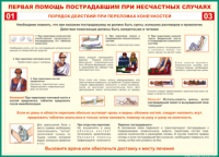 Таблица Порядок действий при переломах конечностей 1000*1400 винил - «globural.ru» - Пенза