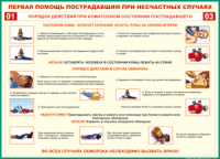 Таблица Порядок действий при коматозном состоянии пострадавшего 1000*1400 винил - «globural.ru» - Пенза