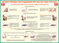 Таблица Порядок действий при ранениях и термических ожогах	 1000*1400 винил - «globural.ru» - Пенза