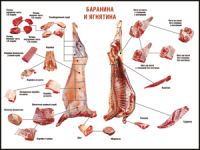 Правила разделки мясных туш "Баранина и ягнятина" 1000*1400 винил - «globural.ru» - Пенза