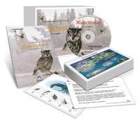 Комбинированное наглядное пособие «Животные» - «globural.ru» - Пенза