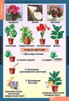 Окружающий мир 1 класс (комплект таблиц) - «globural.ru» - Пенза