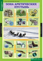 Окружающий мир 4 класс (комплект таблиц) - «globural.ru» - Пенза