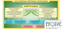 Стенд "Методы селекции и биотехнологии" - «globural.ru» - Пенза