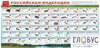 Стенд "Красная книга РФ" - «globural.ru» - Пенза