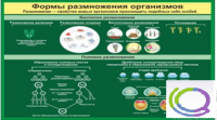 Стенд "Формы размножения организмов" - «globural.ru» - Пенза