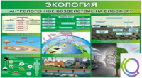 Стенд "Экология. Антропогенное воздействие на биосферу" - «globural.ru» - Пенза
